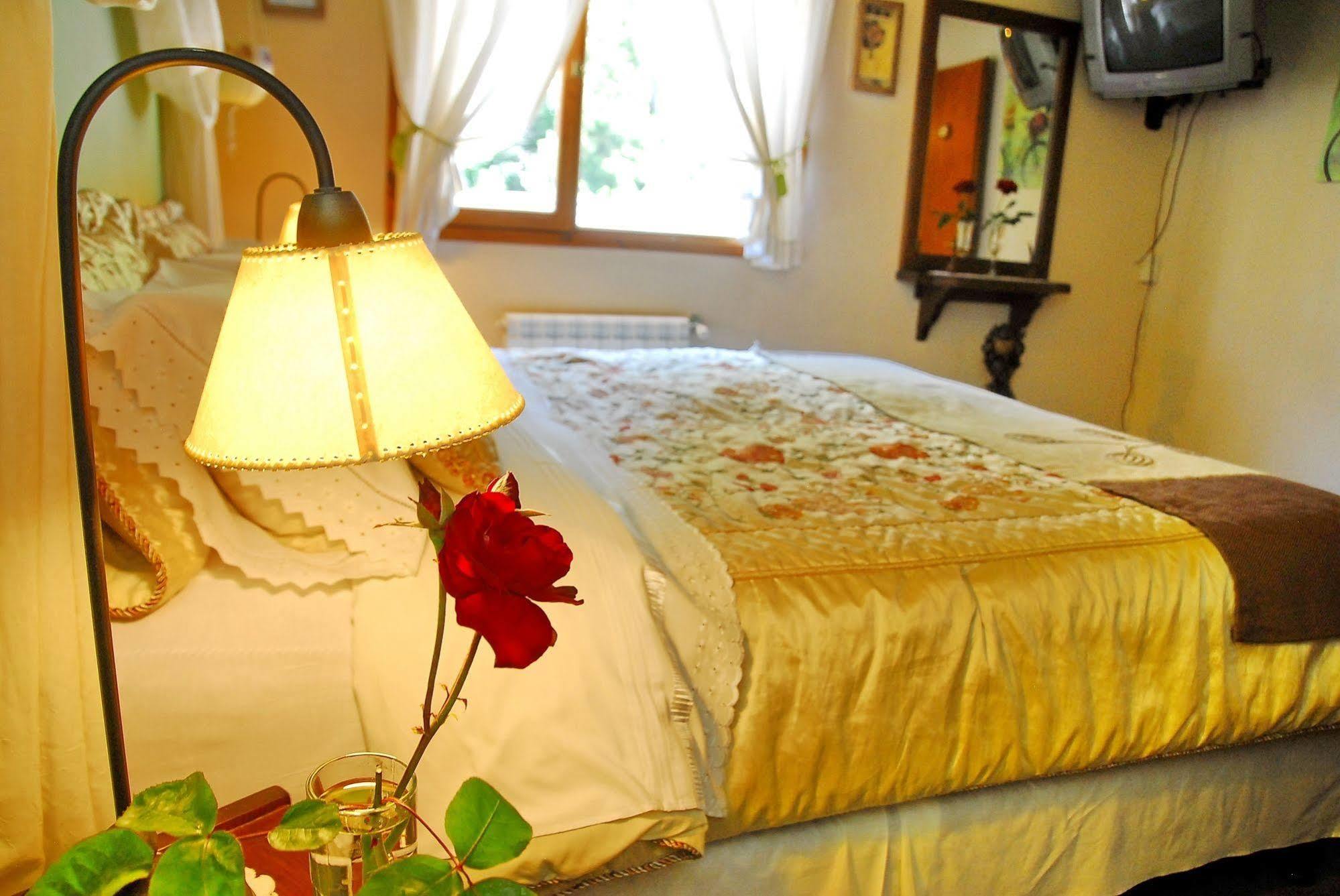 Rotui Apart Hotel San Martín de los Andes Exteriör bild